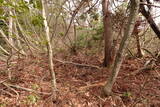 越前 平泉寺北谷砦2の写真