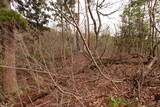 越前 平泉寺北谷砦2の写真
