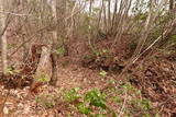 越前 平泉寺北谷砦2の写真