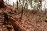 越前 平泉寺北谷砦2の写真