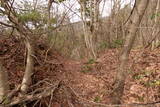 越前 平泉寺北谷砦2の写真