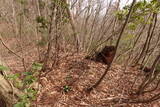 越前 平泉寺北谷砦2の写真