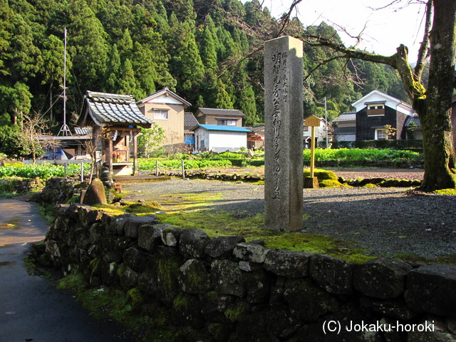 越前 東大味館の写真