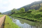 越前 一乗谷城(朝倉義景館)の写真