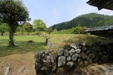 越前 一乗谷城(朝倉義景館)の写真