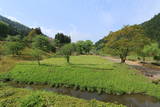 越前 一乗谷城(朝倉義景館)の写真