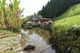 越前 一乗谷城(朝倉義景館)の写真