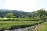 越前 一乗谷城(朝倉義景館)の写真