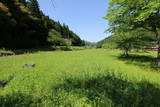 越前 一乗谷城(朝倉義景館)の写真