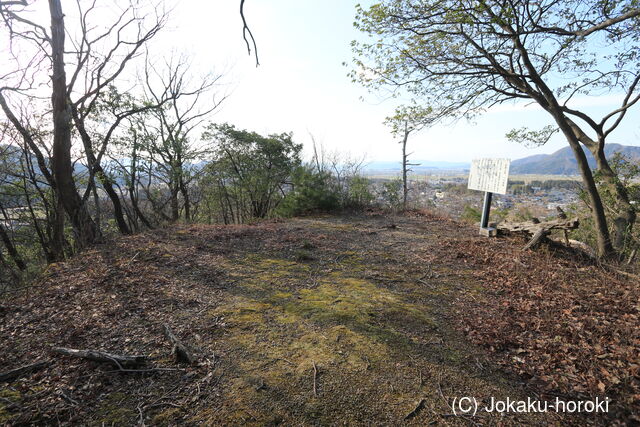 越前 池泉城の写真