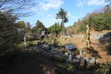 越前 池泉城の写真