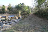 越前 池泉城の写真