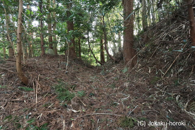 越前 二峯城(岩内町)の写真