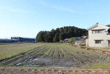 越前 二峯城(岩内町)の写真