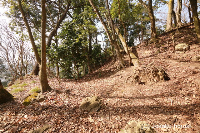 越前 成願寺城(下の城)の写真