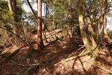 越前 成願寺城(下の城)の写真