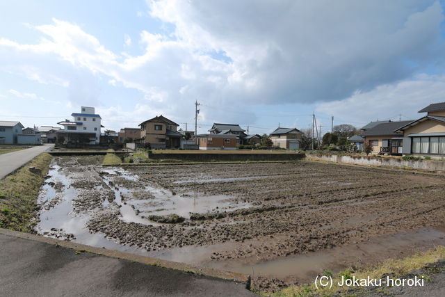 越前 海神城の写真