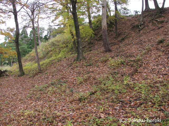 越前 茶臼山城(南条町)の写真