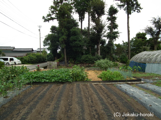 越前 上小森館の写真