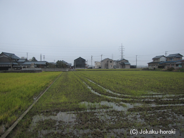 越前 上野田館の写真