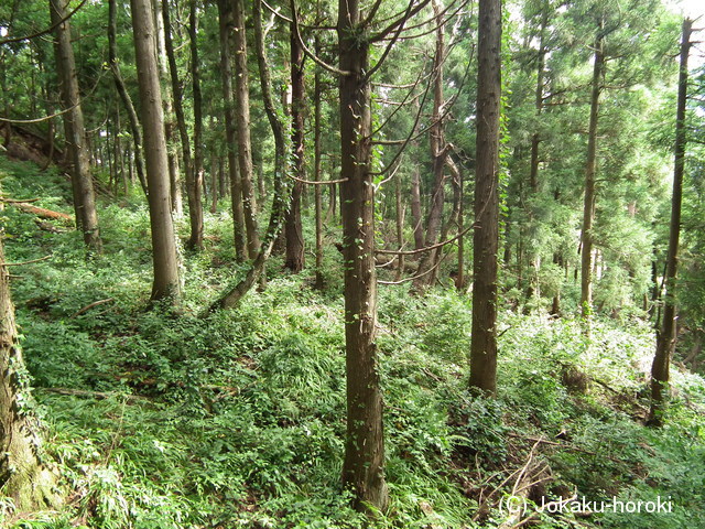 越前 茶臼山城(大野市)の写真