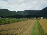 越前 茶臼山城(大野市)の写真