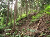 越前 茶臼山城(大野市)の写真