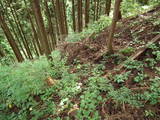 越前 茶臼山城(大野市)の写真