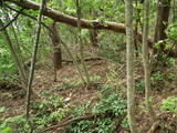 越前 茶臼山城(大野市)の写真