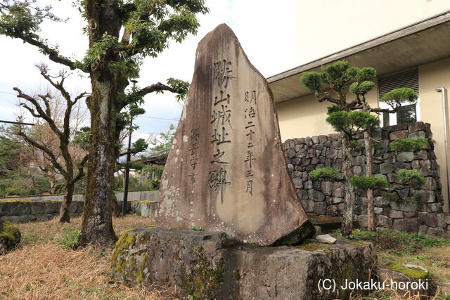 越前 勝山城の写真