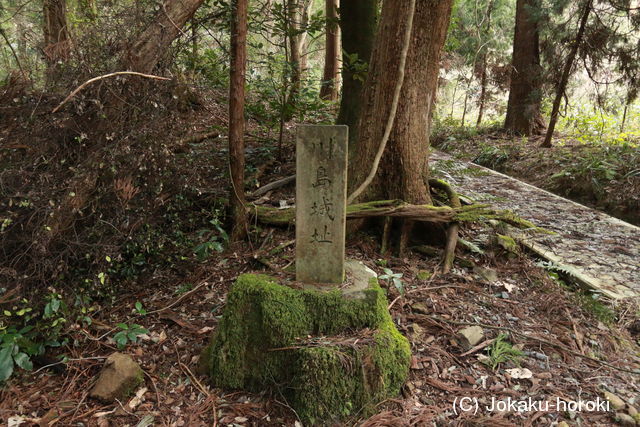 越前 川島城の写真