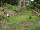 越前 桑原館の写真