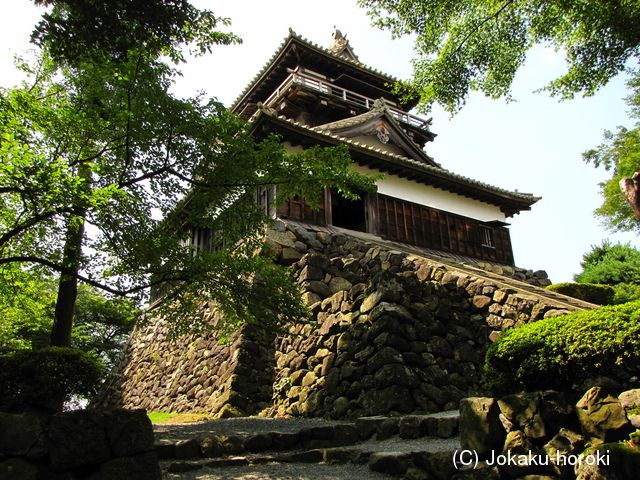 越前 丸岡城の写真