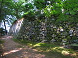 越前 丸岡城の写真