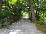 越前 丸岡城の写真