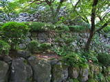 越前 丸岡城の写真