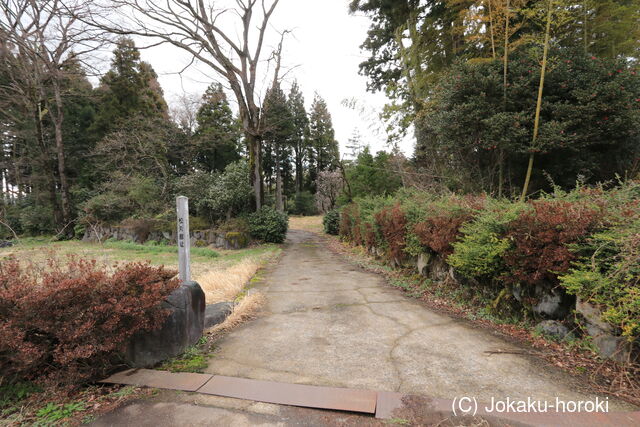 越前 松丸館の写真