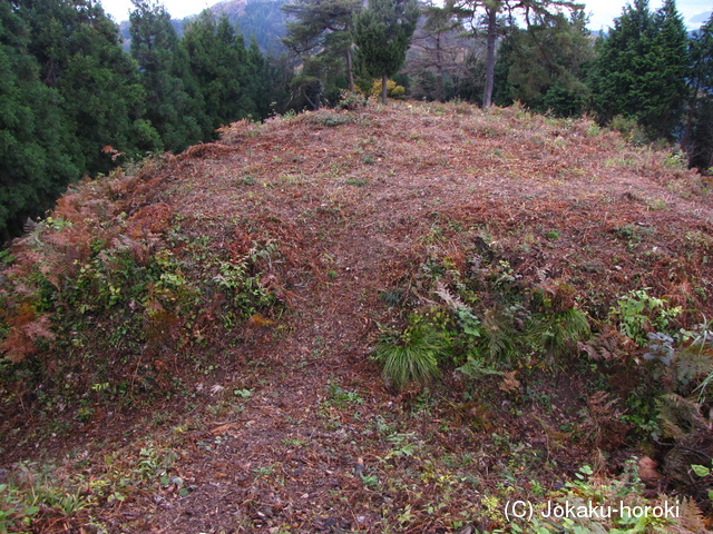 越前 三峰城の写真