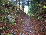 越前 三峰城の写真