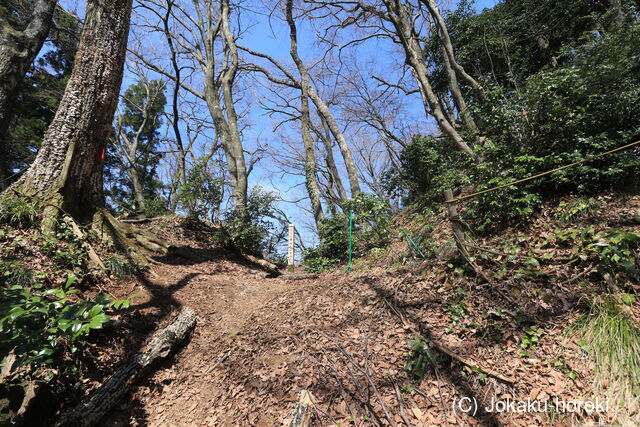 越前 文殊山城の写真