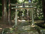 越前 村岡山城の写真