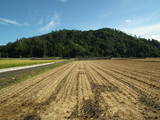 越前 村岡山城の写真