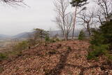 越前 村岡山城の写真