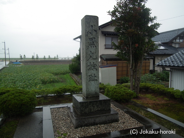 越前 小黒丸城の写真