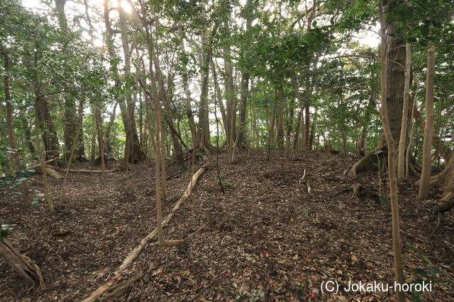 越前 岡崎山砦2の写真