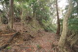 越前 岡崎山砦2の写真