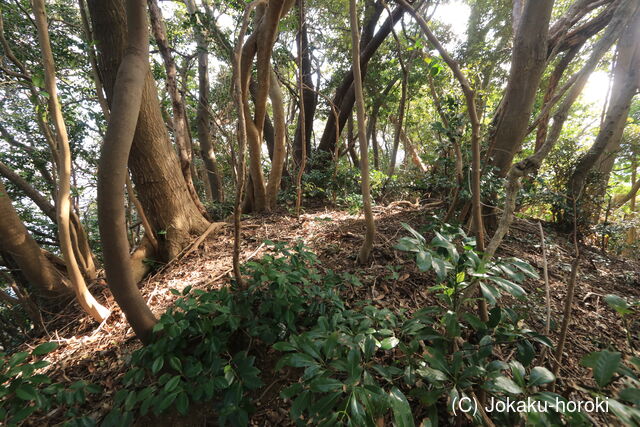 越前 岡崎山砦3の写真