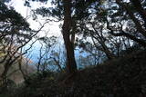 越前 岡崎山砦3の写真