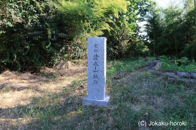 越前 清水山館の写真