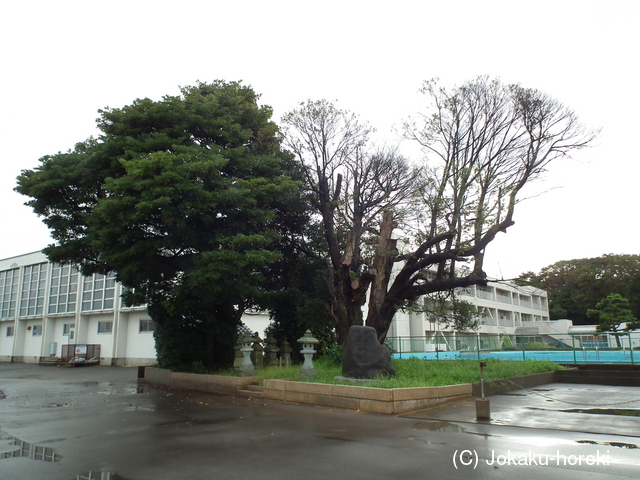 越前 下番堀江館の写真